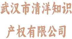 武汉市清洋知识产权有限公司